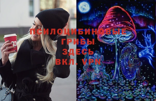 герыч Арсеньев