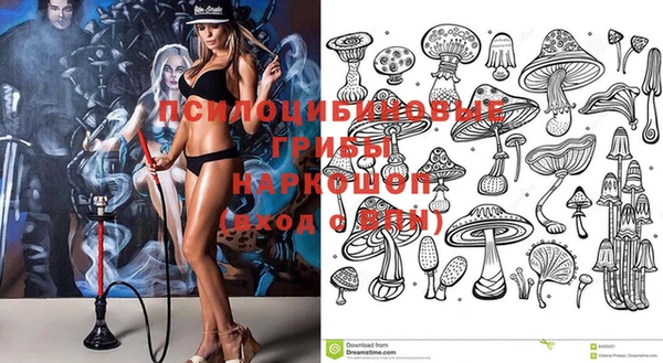 прущие крисы Аркадак