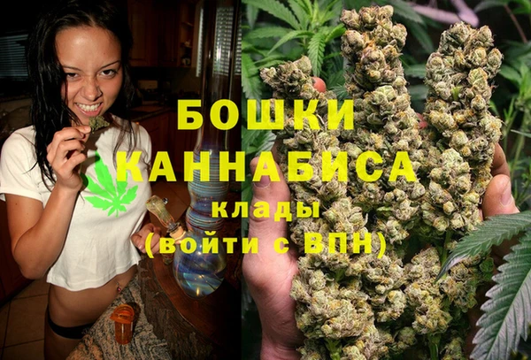 прущие крисы Аркадак